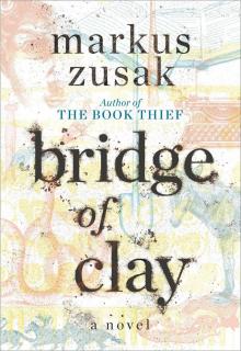 Bridge of Clay Read online