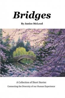 Bridges Read online