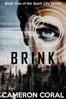 Brink (Spark City Book 1) Read online