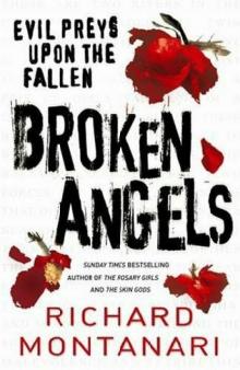 Broken Angels jbakb-3 Read online