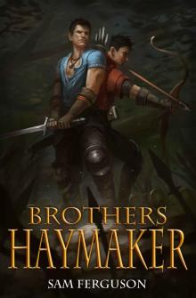 Brothers Haymaker (Haymaker Adventures Book 2) Read online