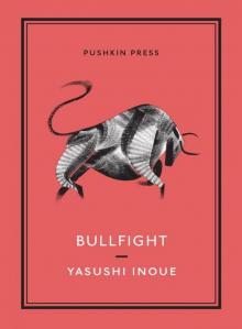 Bullfight Read online