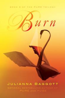 Burn (The Pure Trilogy) Read online