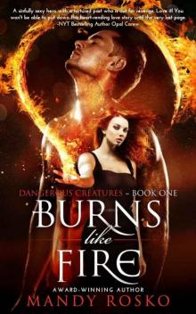 Burns Like Fire (Dangerous Creatures #1) Read online