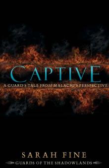 Captive: A Guard's Tale from Malachi's Perspective Read online