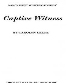 Captive Witness Read online