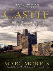 Castle: A History of the Buildings That Shaped Medieval Britain Read online