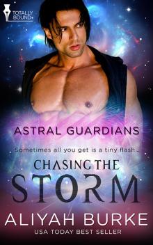 Chasing the Storm Read online