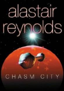 Chasm City rs-2 Read online