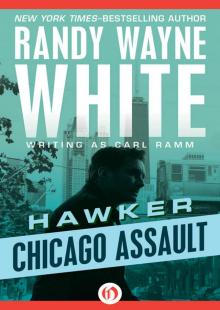 Chicago Assault Read online