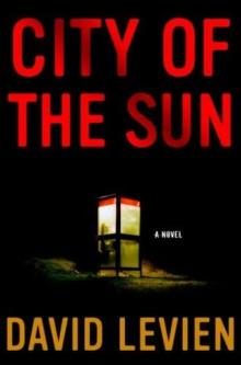 City of the Sun fb-1 Read online