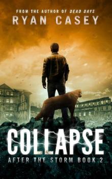 Collapse (After the Storm Book 2)