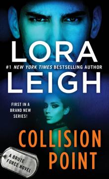 Collision Point--A Brute Force Novel