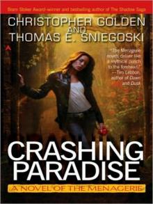 Crashing Paradise Read online