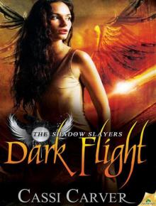 Dark Flight (The Shadow Slayers) Read online