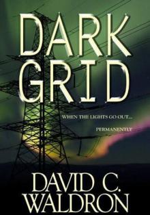 Dark Grid (Book 1) Read online