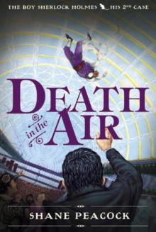 Death in the Air tbsh-2 Read online