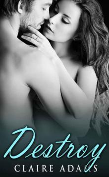 Destroy (A Standalone Romance Novel) Read online
