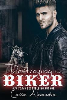 Destroying the Biker (Book 8): (The Biker Series ) Read online