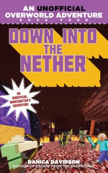 Down into the Nether Read online