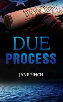 Due Process Read online