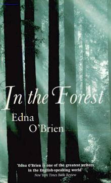 Edna O'Brien Read online