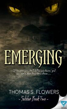 Emerging (Subdue Book 2) Read online