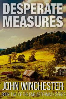 EMP Aftermath Series (Book 2): Desperate Measures Read online
