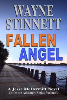 Fallen Angel: A Jesse McDermitt Novel (Caribbean Adventure Series Book 9) Read online