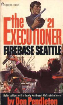 Firebase Seattle te-21 Read online