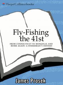 Fly-Fishing the 41st Read online