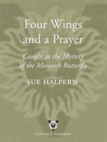 Four Wings and a Prayer Read online