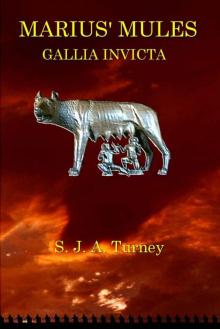 Gallia Invicta mm-3 Read online