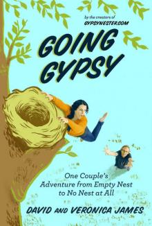 Going Gypsy: One Couple's Adventure from Empty Nest to No Nest at All Read online