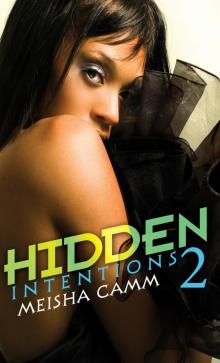 Hidden Intentions 2 Read online