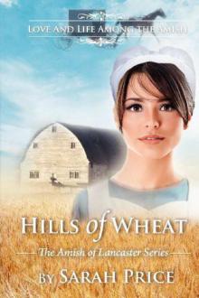 Hills of Wheat Read online