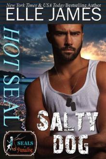 Hot SEAL, Salty Dog: A Brotherhood Protectors Crossover Novel (SEALs in Paradise) Read online
