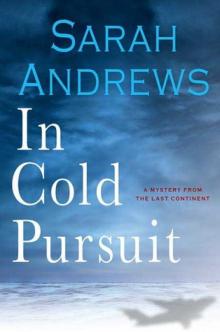 In Cold Pursuit vw-1 Read online