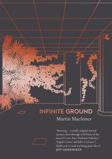 Infinite Ground