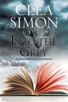 Into the Grey Read online