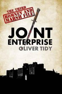 Joint Enterprise (The Romney and Marsh Files Book 3) Read online