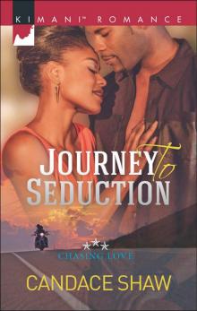 Journey to Seduction Read online