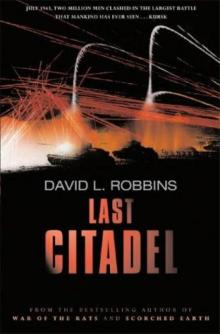Last Citadel wwi-3 Read online