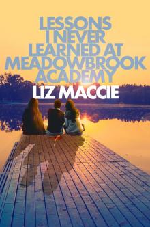 Lessons I Never Learned at Meadowbrook Academy Read online