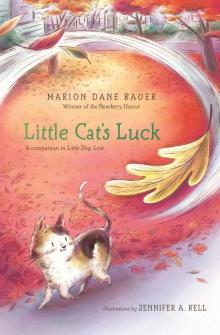 Little Cat's Luck Read online