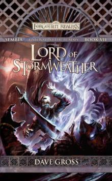Lord of Stormweather Read online