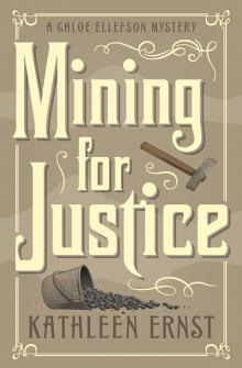 Mining for Justice Read online