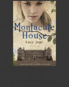 Montacute House Read online