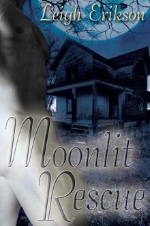 Moonlit Rescue