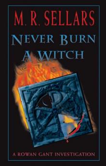 Never Burn A Witch: A Rowan Gant Investigation Read online